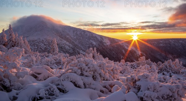 Winter sunrise in the Karkonosze Mountains with a view of Sniezka peak. Karkonosze National Park, Poland, Europe