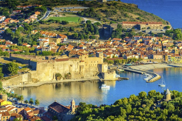 Landscape of Collioure city with harbor and sea at Occitanie in France