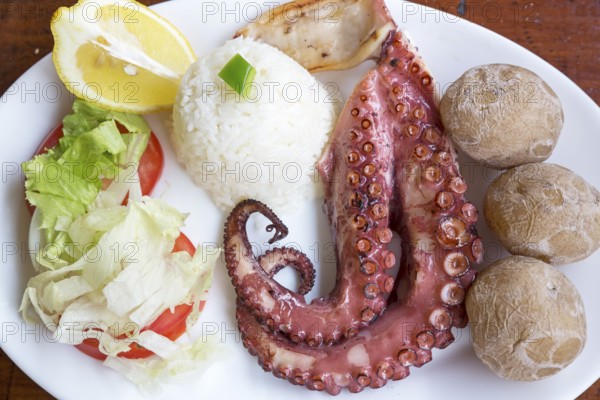 Grilled octopus with side dishes on a plate