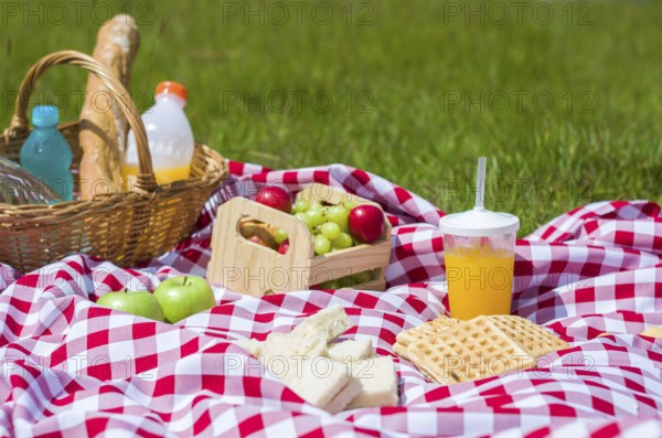 Great concept of pic-nic, pic-nic with fruits and juice on green lawn with beautiful view
