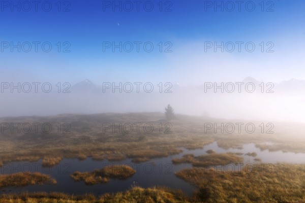 Rising fog at Filzenlacke peat bog, Filzenlacke, Zillertal, Schwendau, Tyrol, Austria, Europe