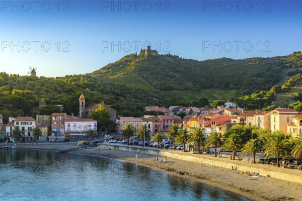 Collioure city and beach at morning at Occitanie in France