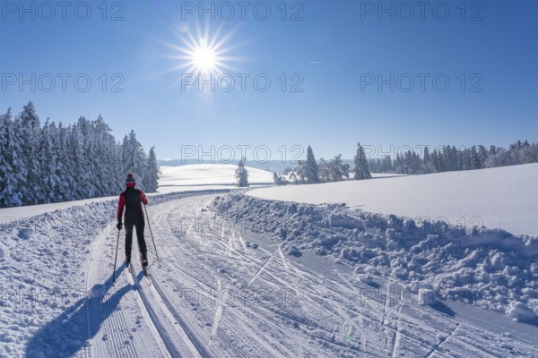 Pretty active senior woman cross-country skiing in freshly fallen powder snow in the Allgäu Alps near Immenstadt, Bavaria, Germany, Europe