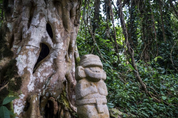 San Agustin, Colombia: A mysterious statue of a male person stands in the rainforest next to an old tree with large roots. The statues of San Agustin are a mystery to historians