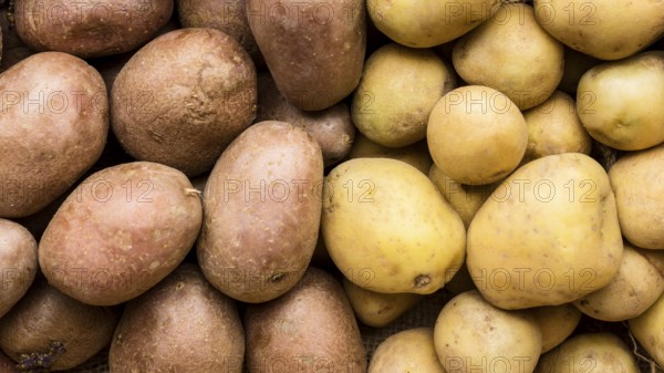 top view different kinds potatoes. High resolution photo