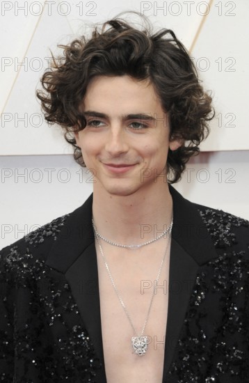 Timothée Chalamet at the 94th Annual Academy Awards held at the Dolby Theatre in Los Angeles, USA on March 27, 2022