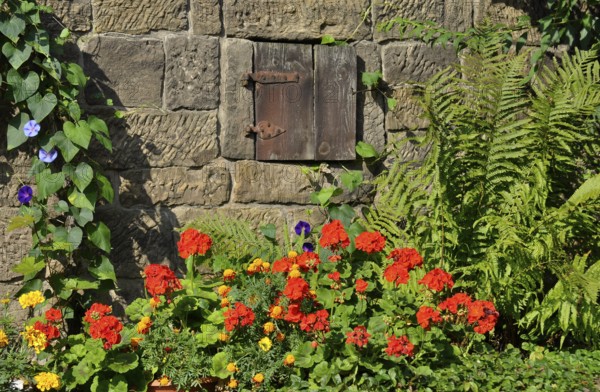 Farm garden at the house, various flowers