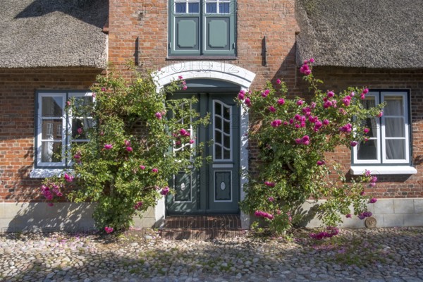 House entrance with roses