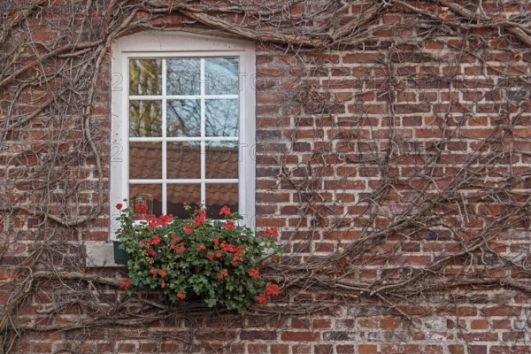 Muntin windows