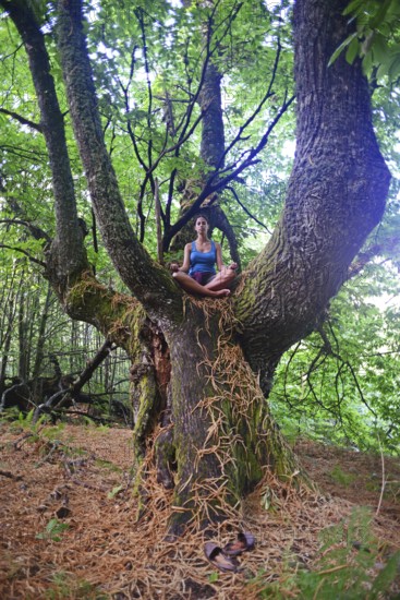 Young woman meditates on big chestnut tree