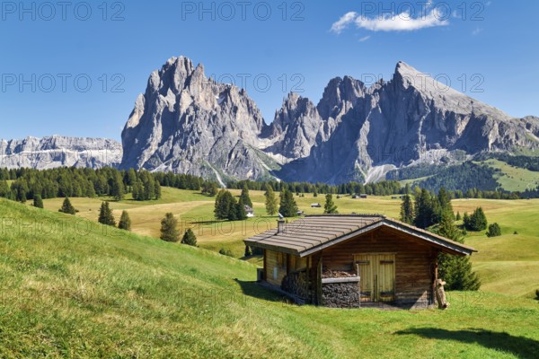 Panorama view with the Sassolungo mountain peak