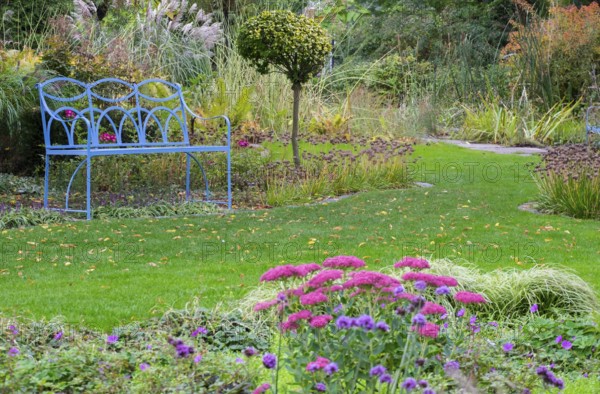Blue bench in the district educational garden, Burgsteinfurt, Münsterland, North Rhine-Westphalia, Germany, Europe