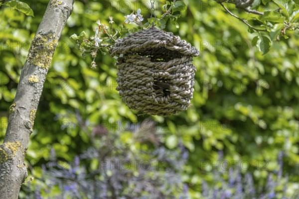 Nest bag