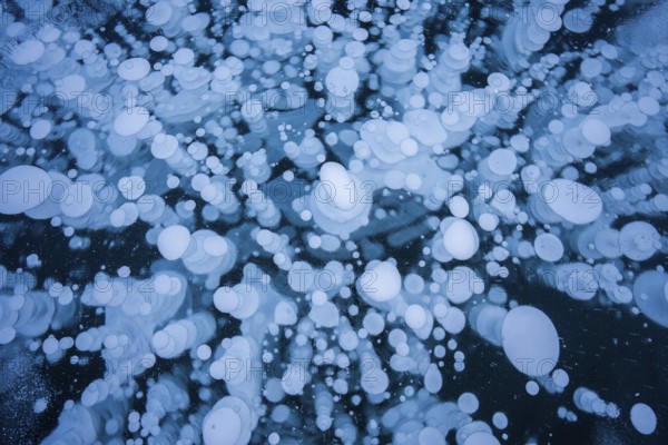 A mesmerizing view of numerous frozen bubbles captured in a thick layer of ice on a lake, creating a unique and abstract natural pattern, Canadian Rockies
