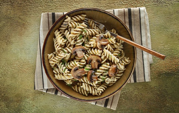Fusilli pasta, in creamy mushroom sauce, pasta with mushrooms, homemade, no people