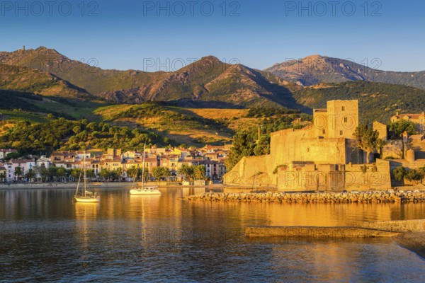 Medieval castle and boats at Collioure city at sunrise at Occitanie in France