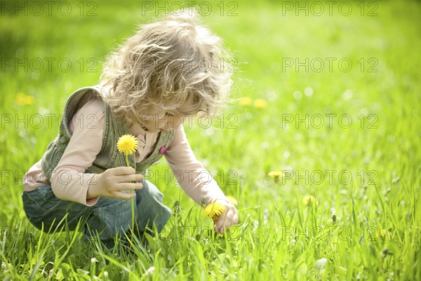Beautiful child picks flowers on a spring green meadow