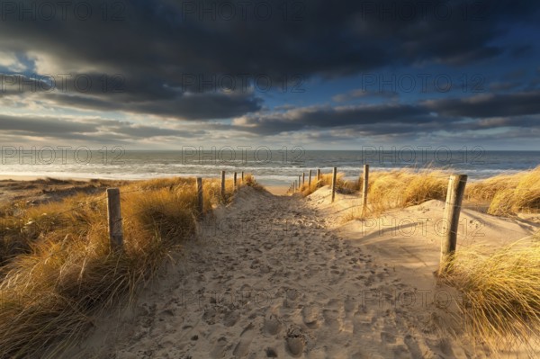 Sand path to North sea beach, Zandvoort, Netherlands