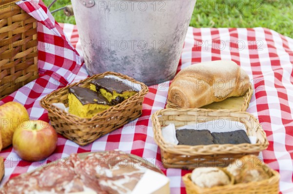 Picnic on a green lawn with various foods and drinks