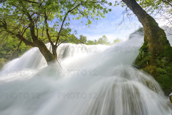 Dynamic water cascading powerfully through a green forest landscape, Krka National Park, Krka Waterfalls, Croatia, Europe