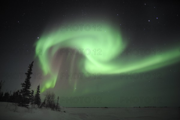 Northern Lights, Northwest Territories (Aurora borealis), Canada, North America