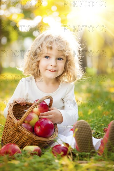 Happy child with basket of red apples in autumn park against golden sunny background