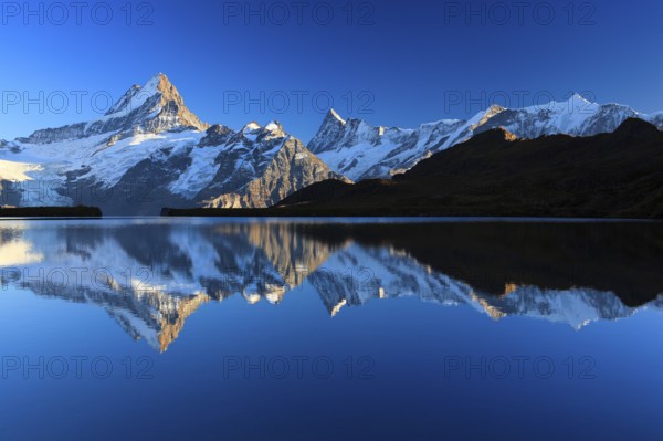Bachalpsee, Schreckhorn, 4078 m, Finsteraarhorn, 4274 m, Bernese Oberland, Switzerland, Europe