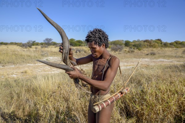 Bushman of the Ju/? Hoansi-San in a traditional hunt with bow and arrow, inspects the horn of a Kudu, village //Xa/oba, near Tsumkwe, Otjozondjupa region, Namibia, Africa
