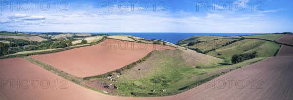 Fields and farmlands from a drone, Devon, England, United Kingdom, Europe