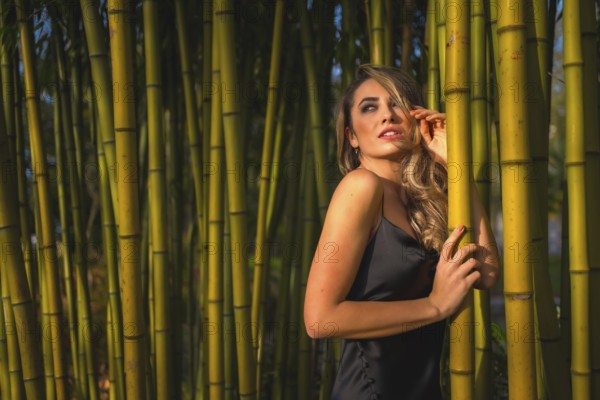 Portrait of a Caucasian girl in a black dress in a bamboo forest