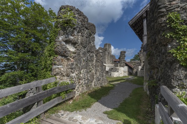 Entrance to the ruins of Alt-Trauchburg Castle, 13th century. The ruin is one of the best preserved in the Allgäu, Weitnau-Alttrauchburg, Bavaria, Germany, Europe