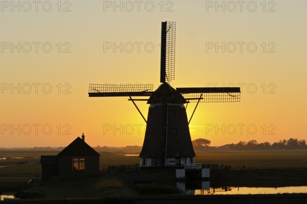 Mill De Bol near Oost, Island Texel, North Holland, Netherlands