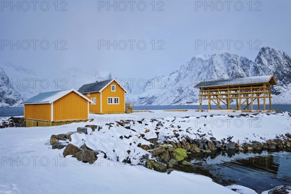 Traditional yellow rorbu house in drying flakes for stockfish cod fish in winter. Sakrisoy fishing village, Lofoten islands, Norway, Europe