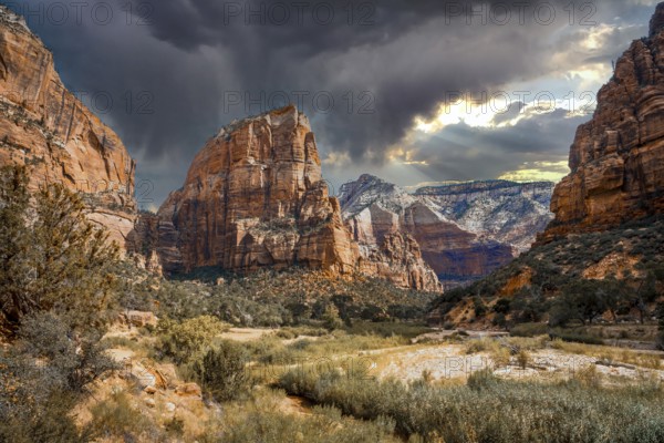 The beautiful mountain that climbs on the Angels Landing Trail trekking in Zion National Park