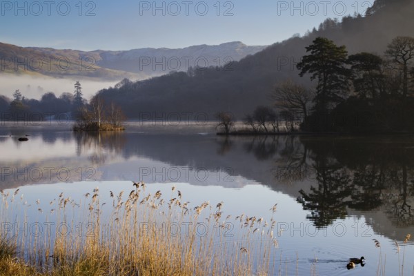Rydal water after dawn with mist in the valley, Lake District, Cumbria, England, United Kingdom, Europe