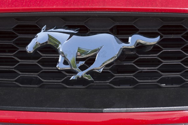 Logo of Ford Mustang, car manufacturer Ford USA, Bavaria, Germany, Europe