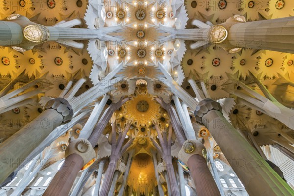 Interior view of the Familia Sagrada by the architect Antonio Gaudi in Barcelona, Spain, Europe