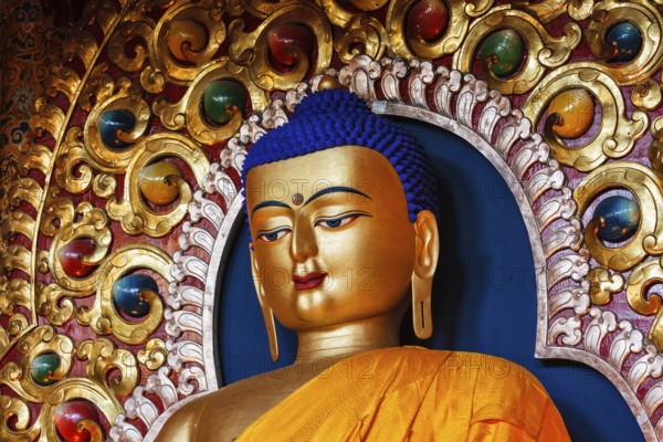 Gilded statue of Sakyamuni Buddha in Tsuglagkhang temple. McLeod Ganj, Himachal Pradesh, India, Asia