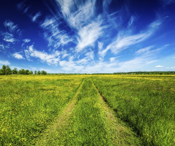 Spring summer background, rural road in green grass field meadow scenery lanscape with blue sky