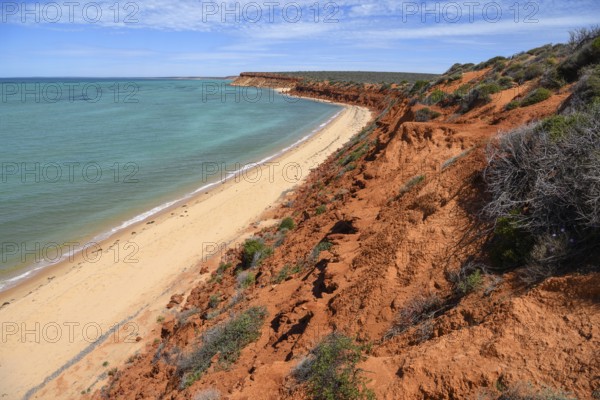 Landscape near Cape Perón, François Péron National Park, near Denham, Shark Bay, State of Western Australia, Australia, Oceania