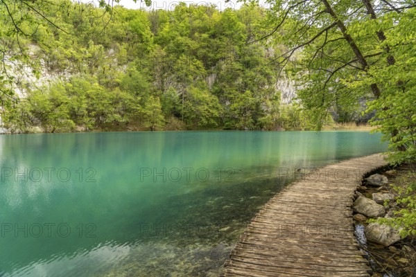 Path on wooden walkways in Plitvice Lakes National Park, Croatia, Europe