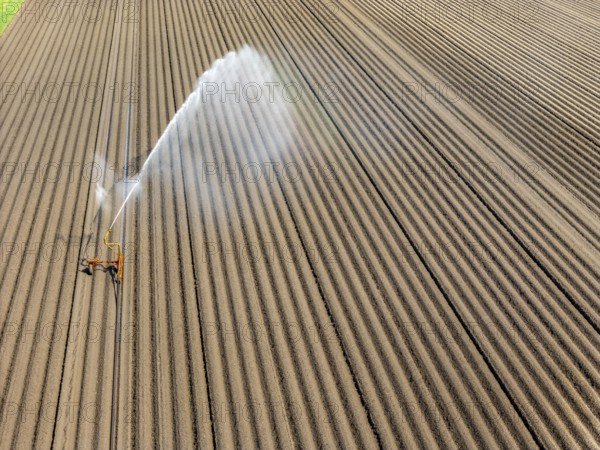 Artificial irrigation of a potato field in April, with a sprinkler system, long drought in spring makes this necessary, for the total of 7.5 hectares 3 full days are needed to get the necessary moisture for the freshly sown potato plants, south of Straelen, Lower Rhine, North Rhine-Westphalia, Germany, Europe