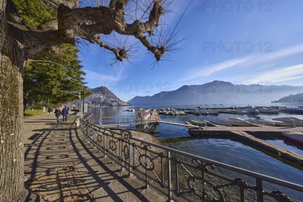 Lakeside promenade, lake, railing with decorations, sidelight, shadow, trees, hill, marina, blue sky with veil clouds, Lake Lugano, Lugano, district Lugano, canton Ticino, Switzerland, Europe