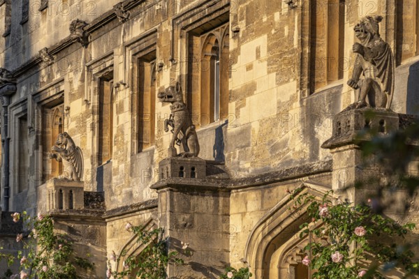 Gargoyles in the courtyard of Magdalen College in Oxford, Oxfordshire, England, Great Britain