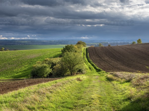 Field path through field landscape in the evening light, battlefield of 1806, Battle of Jena and Auerstedt, Thuringia, Germany, Europe