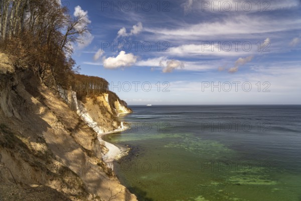 The famous chalk cliffs on the Baltic Sea coast in Jasmund National Park, Ruegen Island, Mecklenburg-Western Pomerania, Germany, Europe