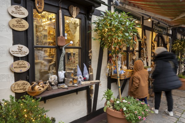 Shop with decorative items made of wood, Handwerkerhof am Königstor, Nuremberg, Middle Franconia, Franconia, Bavaria, Germany, Europe