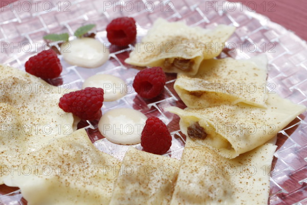 Swabian cuisine, apple ravioli, apple in pasta dough, sweet dish, dessert, vanilla sauce, cinnamon, raspberries, arranged on a plate, grandmother's kitchen, regional, home cooking, typical Swabian, classic recipe, traditional cuisine, food photography, studio, Germany, Europe