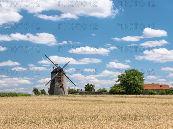 Landscape with windmill and wheat field under blue sky with cumulus clouds, tower windmill, Dutch windmill, Schmiedehausen, Thuringia, Germany, Europe