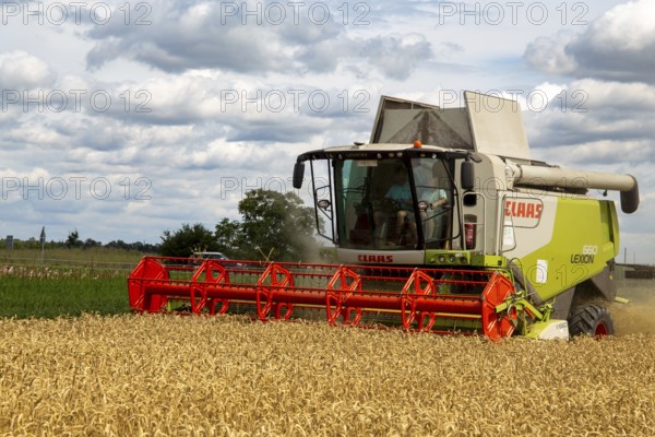 Grain harvest in the Rhein-Pfalz district near Mutterstadt